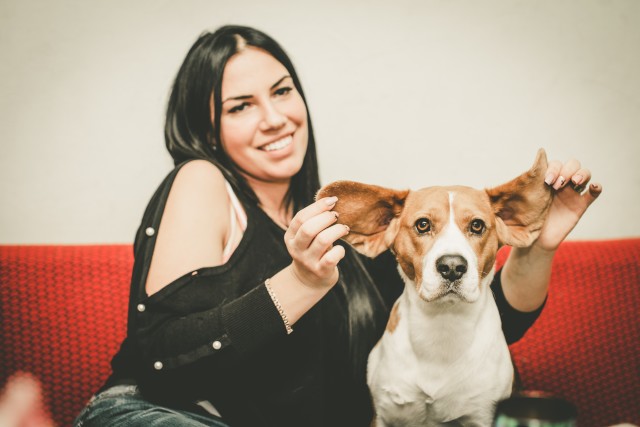 女性が、犬の両耳を優しく持ち上げている写真。
